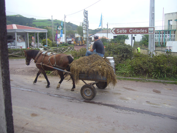 030_Paikallinen_maatalouskulkuneuvo_Ginetes_Azorit